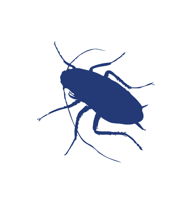 Residential Pest Control Drop Dead Pest Control